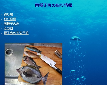 HP:南種子町釣り情報